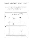 Method for producing polyunsaturated fatty acids in transgenic plants diagram and image