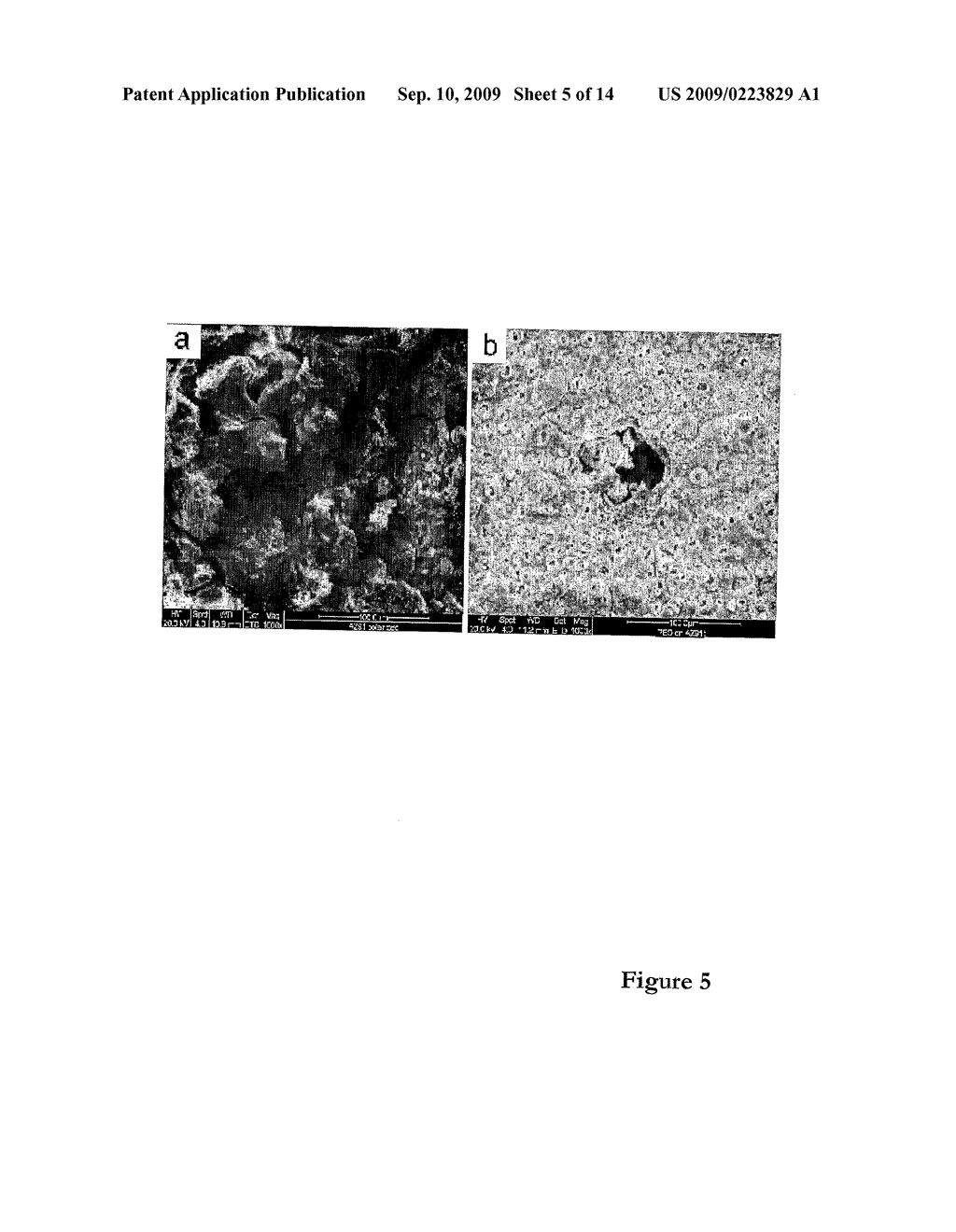 Micro-Arc Assisted Electroless Plating Methods - diagram, schematic, and image 06