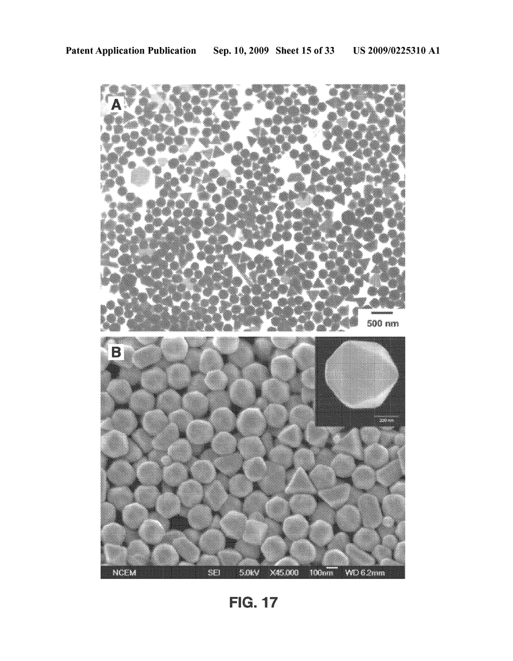 SURFACE-ENHANCED RAMAN SPECTROSCOPY SUBSTRATE FOR ARSENIC SENSING IN GROUNDWATER - diagram, schematic, and image 16