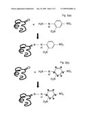 Method of Quantitative Analysis of Oxidized Protein, Labeling Reagents for Quantitative Analysis of Oxidized Protein and Labeling Reagent kit for Quantitative Analysis of Oxidized Protein diagram and image