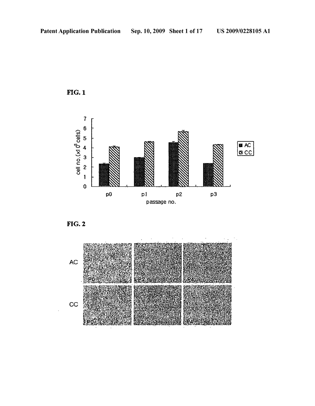 ARTIFICIAL CARTILAGE CONTAINING CHONDROCYTES OBTAINED FROM COSTAL CARTILAGE AND PREPARATION PROCESS THEREOF - diagram, schematic, and image 02