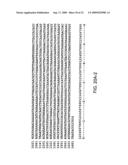 Ruggedized apparatus for analysis of nucleic acid and proteins diagram and image