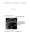 APPARATUS FOR PRODUCING PHOTOCATALYTIC REACTION WATER diagram and image