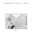 CRYSTALLINE METALLIC NANOPARTICLES AND COLLOIDS THEREOF diagram and image