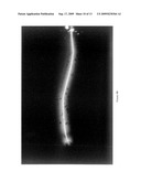 CRYSTALLINE METALLIC NANOPARTICLES AND COLLOIDS THEREOF diagram and image