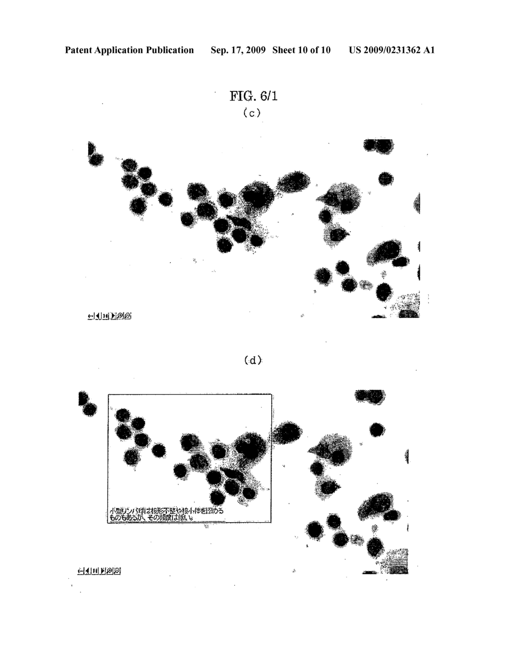 Method of Reproducing Microscope Observation, Device of Reproducing Microscope Observation, Program for Reproducing Microscope Observation, and Recording Media Thereof - diagram, schematic, and image 11