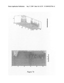 Novel method for chromatographic finger printing and standardization of single medicines and formulations diagram and image