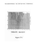 Novel method for chromatographic finger printing and standardization of single medicines and formulations diagram and image