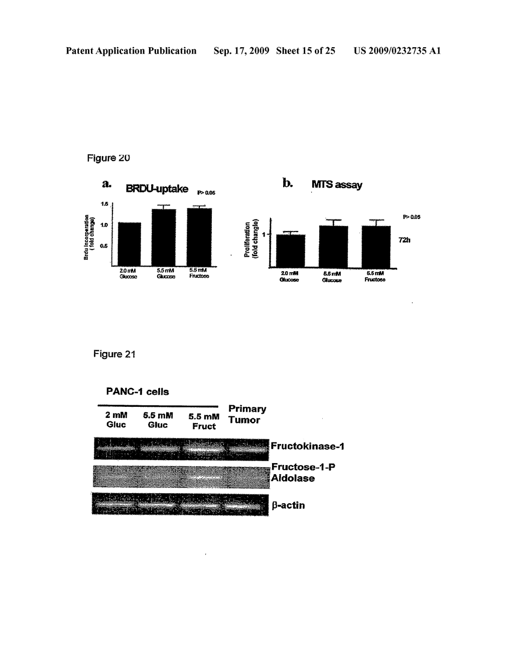 USE OF FRUCTOSE-BASED THERAPIES FOR THE TREATMENT OF CANCER - diagram, schematic, and image 16