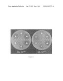 PROCESS OF PRODUCTION OF BACTERIOPHAGE COMPOSITIONS AND METHODS IN PHAGE THERAPY FIELD diagram and image