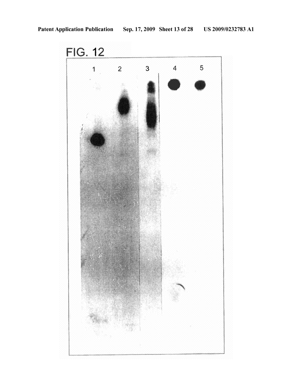 Method for Regulating Production of Hemoglobin Beta Chains - diagram, schematic, and image 14