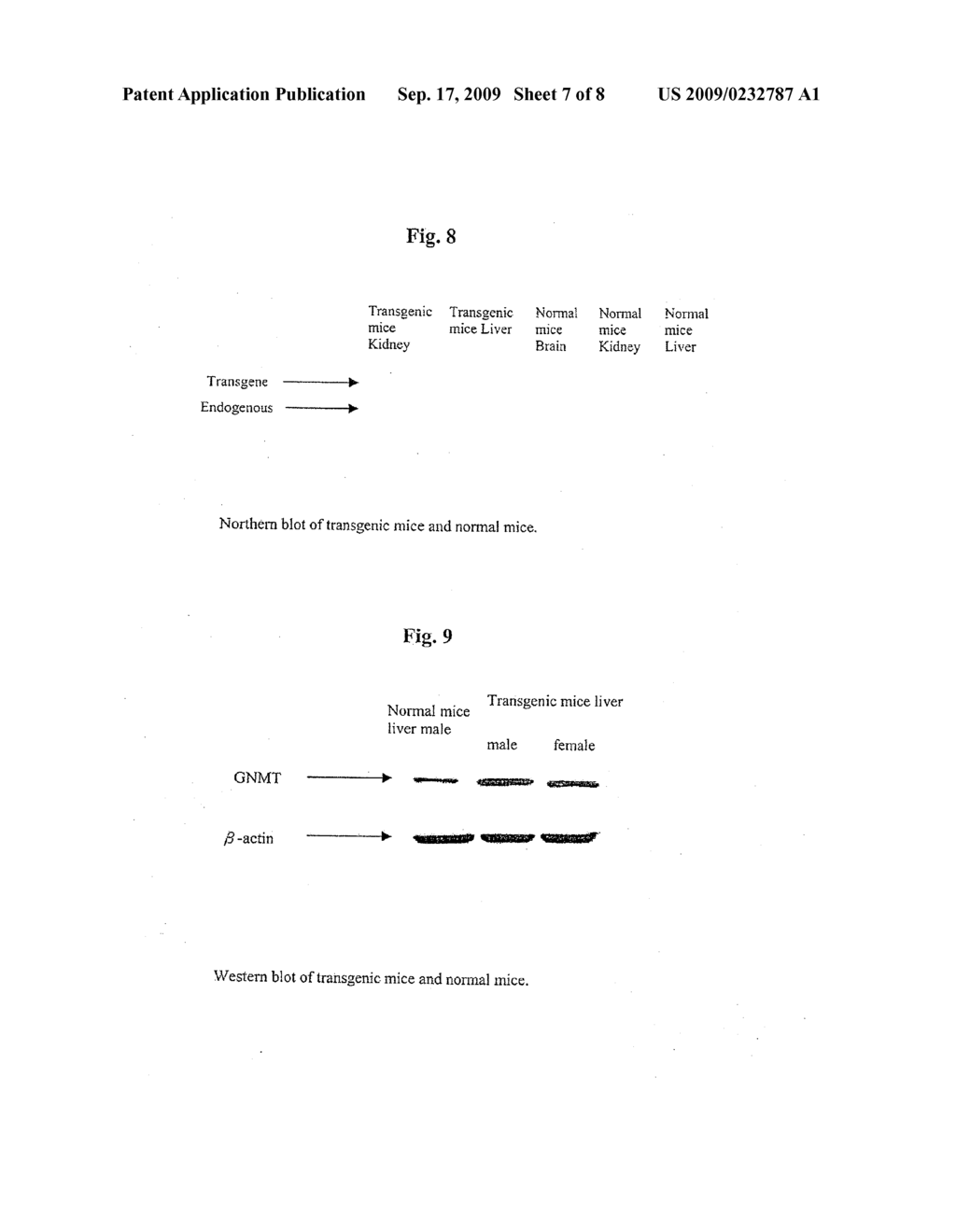 CARCINOGEN DETOXIFICATION COMPOSITION AND METHOD - diagram, schematic, and image 08