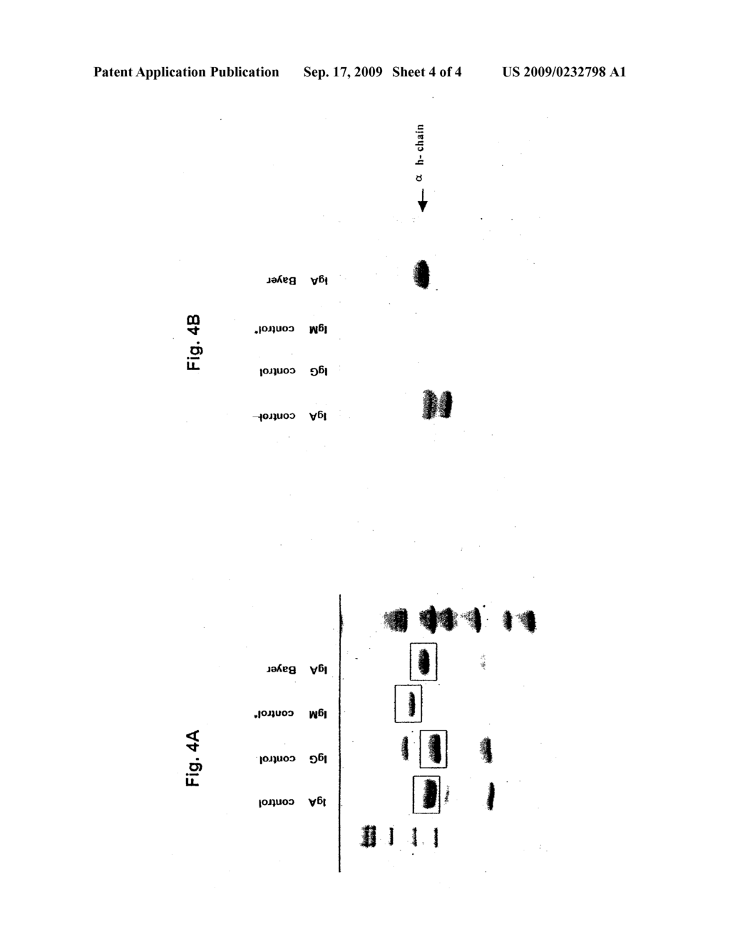 METHODS AND COMPOSITIONS FOR TREATING HERPES INFECTIONS - diagram, schematic, and image 05