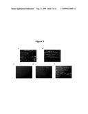 HUMANIZED ANTIBODIES SPECIFIC FOR VON WILLEBRAND FACTOR diagram and image