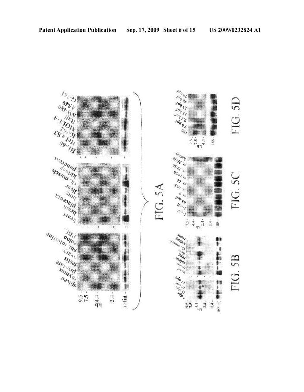 BIVM (BASIC, IMMUNOGLOBULIN-LIKE VARIABLE MOTIF-CONTAINING) GENE, TRANSCRIPTIONAL PRODUCTS, AND USES THEREOF - diagram, schematic, and image 07