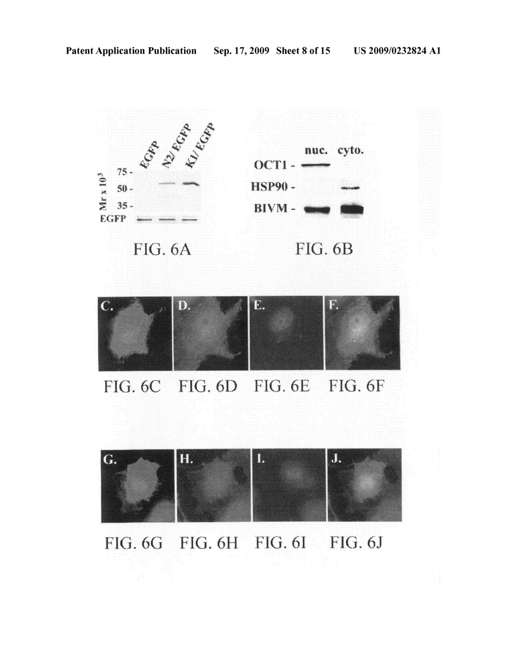 BIVM (BASIC, IMMUNOGLOBULIN-LIKE VARIABLE MOTIF-CONTAINING) GENE, TRANSCRIPTIONAL PRODUCTS, AND USES THEREOF - diagram, schematic, and image 09