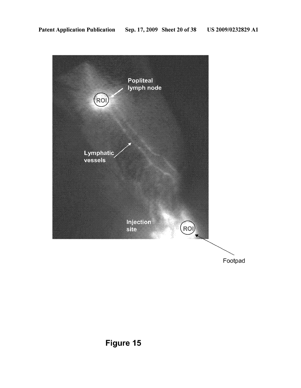 METHODS AND COMPOSITIONS FOR TREATING INFLAMMATORY CONDITIONS - diagram, schematic, and image 21