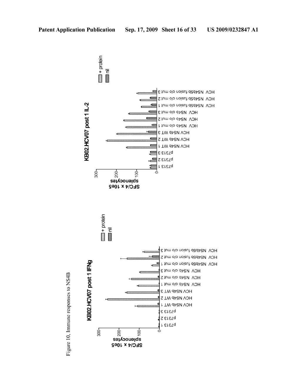 Immunogenic compositions - diagram, schematic, and image 17