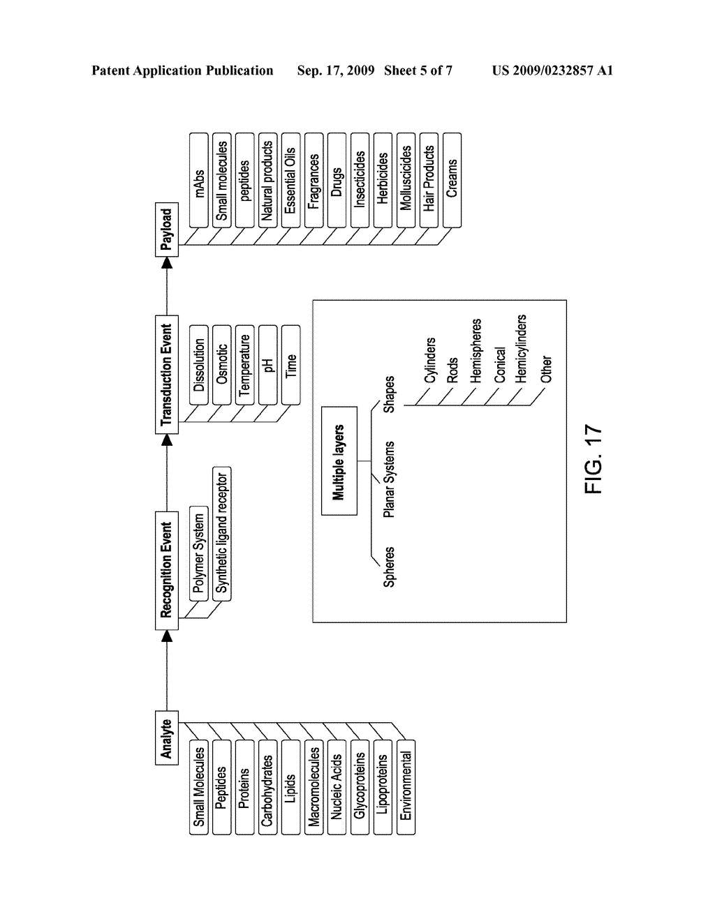 METHOD AND PROCESS FOR THE PRODUCTION OF MULTI-COATED RECOGNITIVE AND RELEASING SYSTEMS - diagram, schematic, and image 06