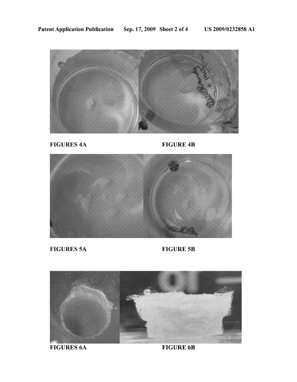 METHOD AND PROCESS FOR THE PRODUCTION OF MULTI-COATED RECOGNITIVE AND RELEASING SYSTEMS - diagram, schematic, and image 03