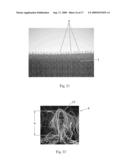 TUFTED FIBROUS WEB diagram and image