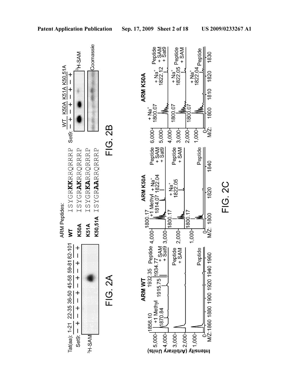 Methylated Tat Polypeptides and Methods of Use Thereof - diagram, schematic, and image 03