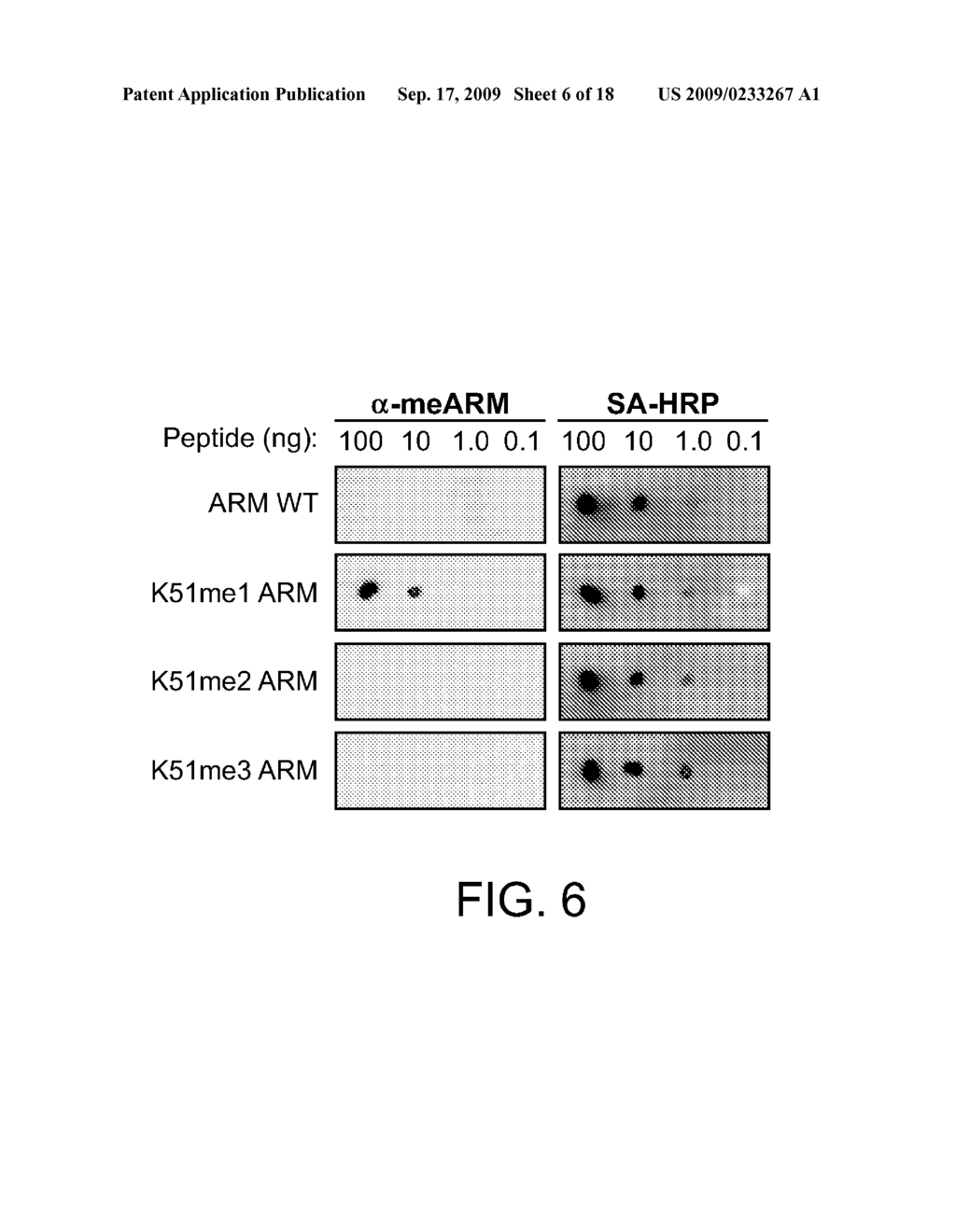 Methylated Tat Polypeptides and Methods of Use Thereof - diagram, schematic, and image 07