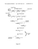 PRIMER GENERATION ROLLING CIRCLE AMPLIFICATION diagram and image