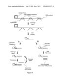 PRIMER GENERATION ROLLING CIRCLE AMPLIFICATION diagram and image