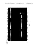 STABLE COMPOSITIONS FOR NUCLEIC ACID AMPLIFICATION AND SEQUENCING diagram and image