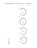 Paired end sequencing diagram and image