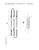 Paired end sequencing diagram and image