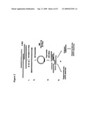 Paired end sequencing diagram and image