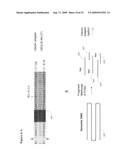 Paired end sequencing diagram and image