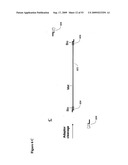 Paired end sequencing diagram and image