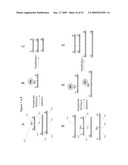 Paired end sequencing diagram and image