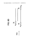 Paired end sequencing diagram and image