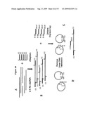 Paired end sequencing diagram and image