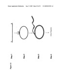 Paired end sequencing diagram and image