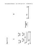 Paired end sequencing diagram and image