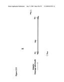 Paired end sequencing diagram and image