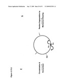 Paired end sequencing diagram and image