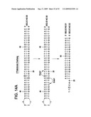 Paired end sequencing diagram and image