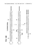 Paired end sequencing diagram and image