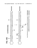 Paired end sequencing diagram and image