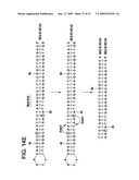 Paired end sequencing diagram and image