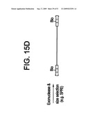 Paired end sequencing diagram and image