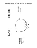 Paired end sequencing diagram and image