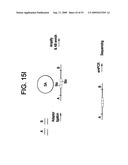 Paired end sequencing diagram and image