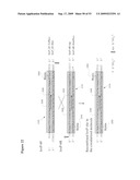 Paired end sequencing diagram and image